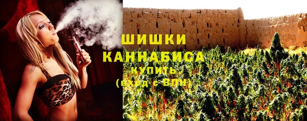 шишки Вяземский