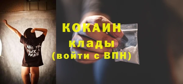 mdpv Гусев