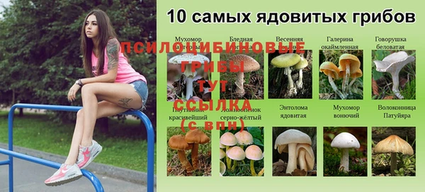2c-b Вязьма