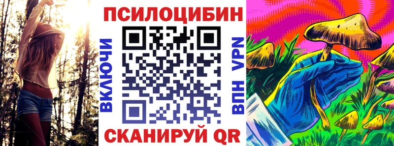 где можно купить   Дмитров  Галлюциногенные грибы Psilocybine cubensis 